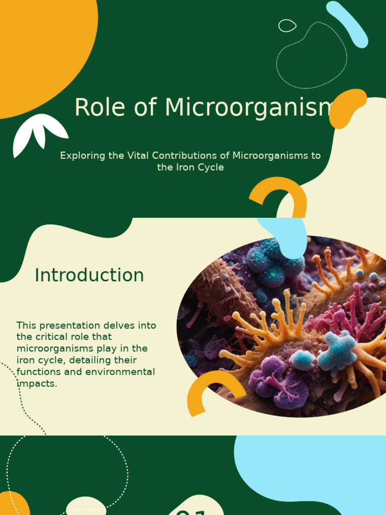 Role of Microorganisms | PDF | Iron | Ecosystem