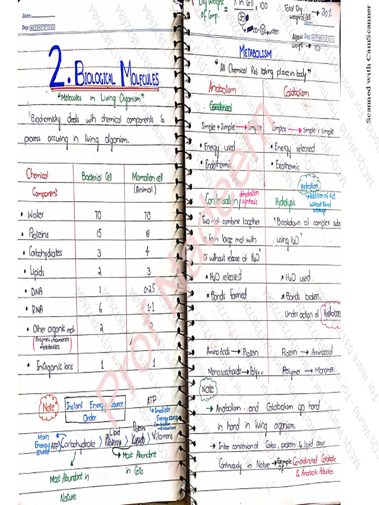 Biological Molecules Notes - MCQs World | PDF