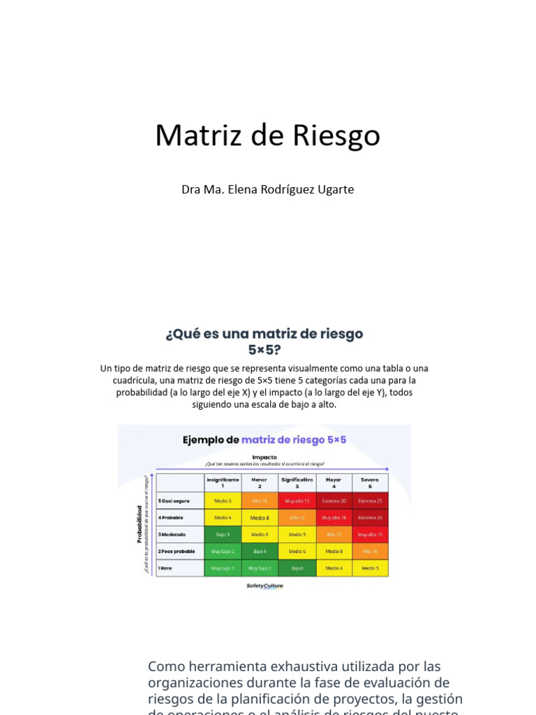 Matriz de Riesgo | PDF | Riesgo | Probabilidad