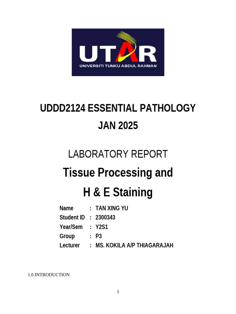 EP Individual Report | PDF | Pathology | Histology
