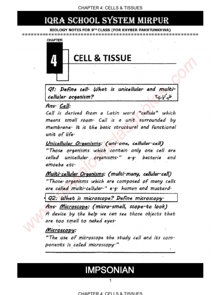 Unit # 04 Unlocked Part1 | PDF