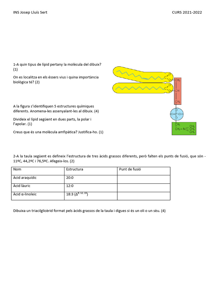 Examen Trimestral 1 Bat - Còpia | PDF