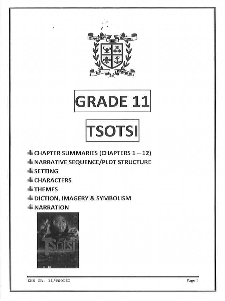 Khs Tsotsi Notes | PDF