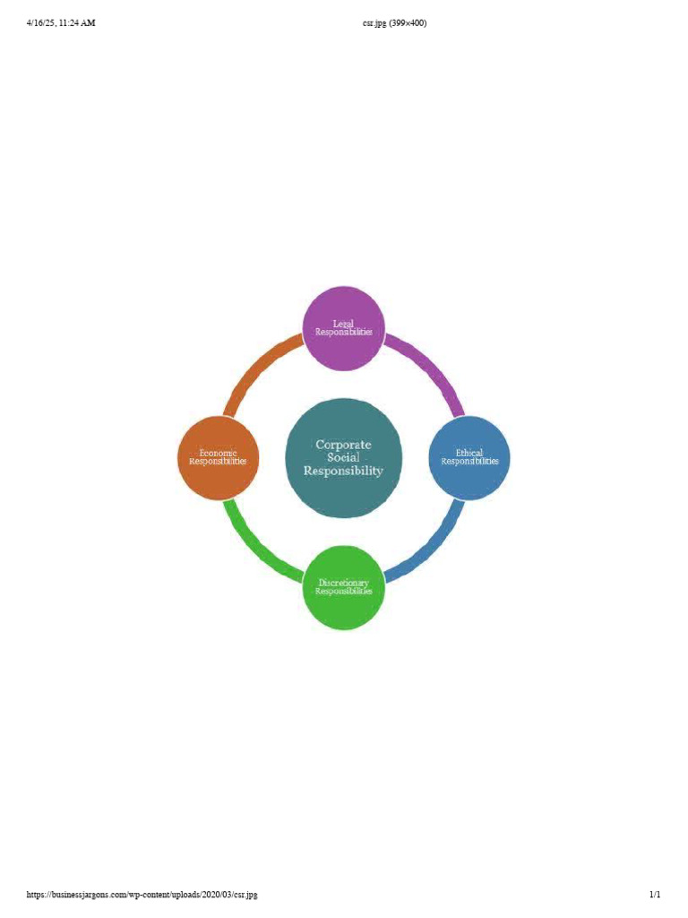 Csr Framework (Socres) | PDF