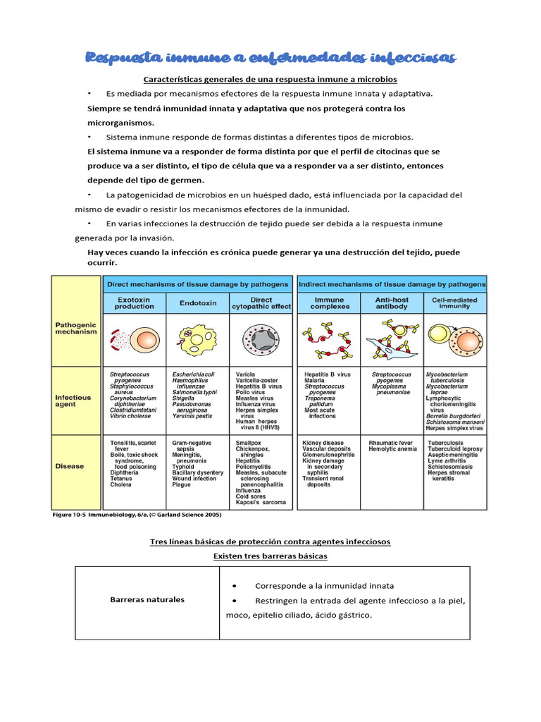 6. Respuesta Inmune Ante Enfermedades Infecciosas | PDF | Sistema ...