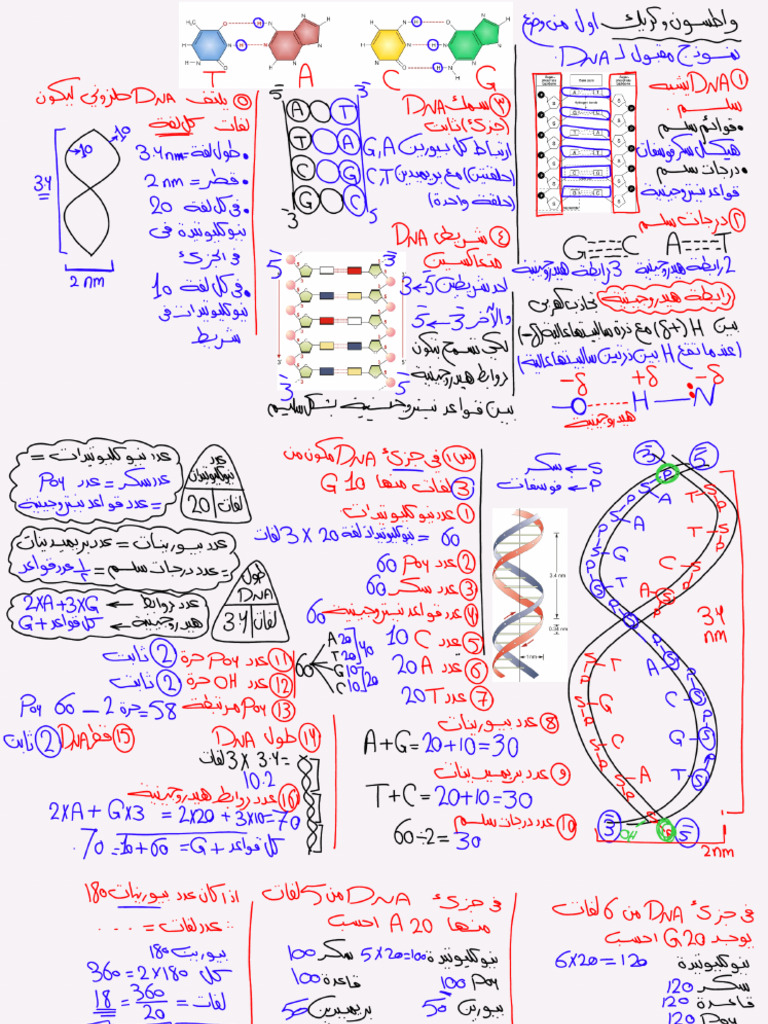 Dna 5 | PDF