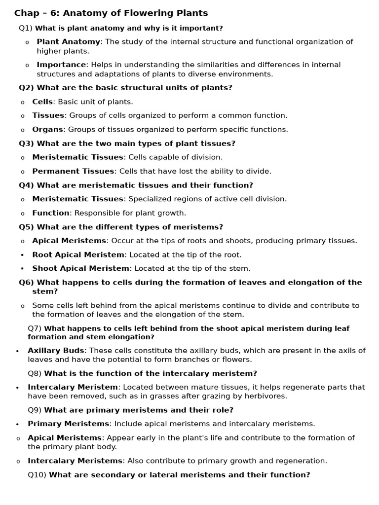 6) Bio Notes IX CHP 6 | PDF | Tissue (Biology) | Plant Stem