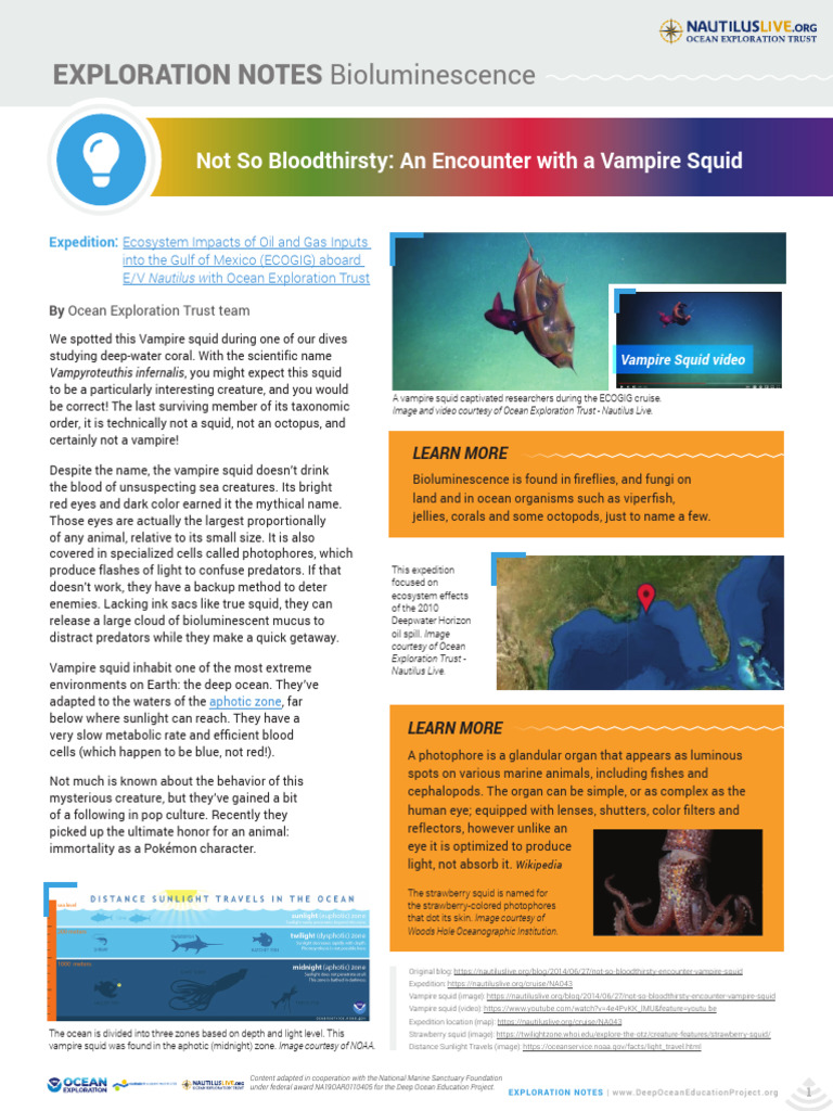 Vampire squid | PDF | Oceanography