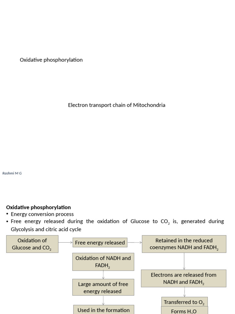 Oxidative Phosphorylation, Electron Transport Chain and ATP Synthesis ...