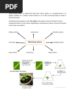 Explant Definition and Types in Tissue Culture | PDF | Cell Potency ...