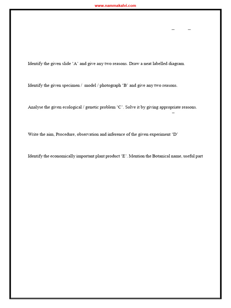 Namma Kalvi 12th Bio Botany Practical Model Question Paper 221368 | PDF ...