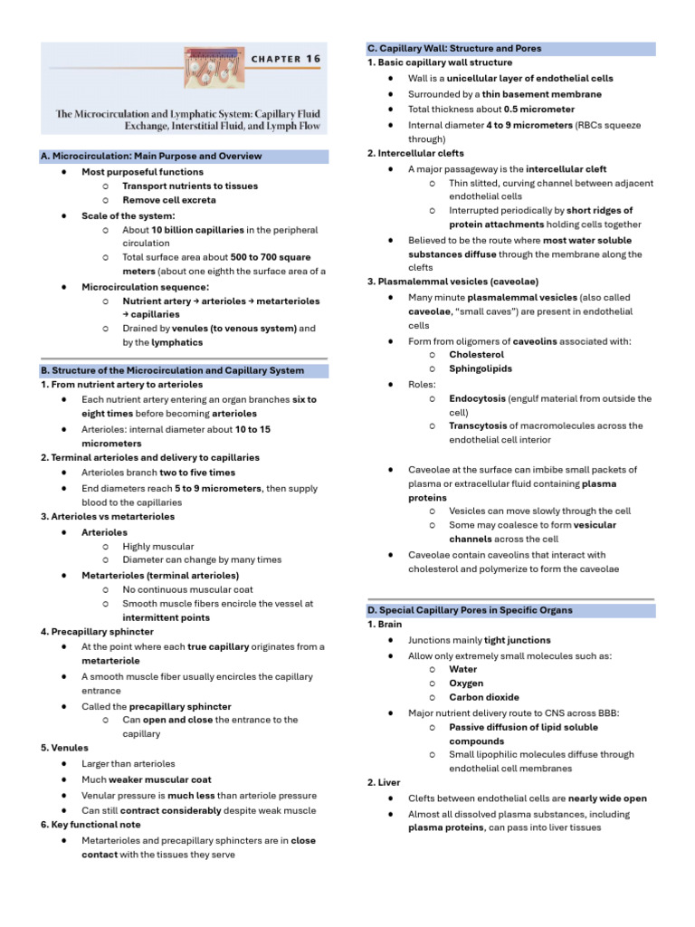 Chapter 16. Physio Notes From | PDF | Lymph | Capillary