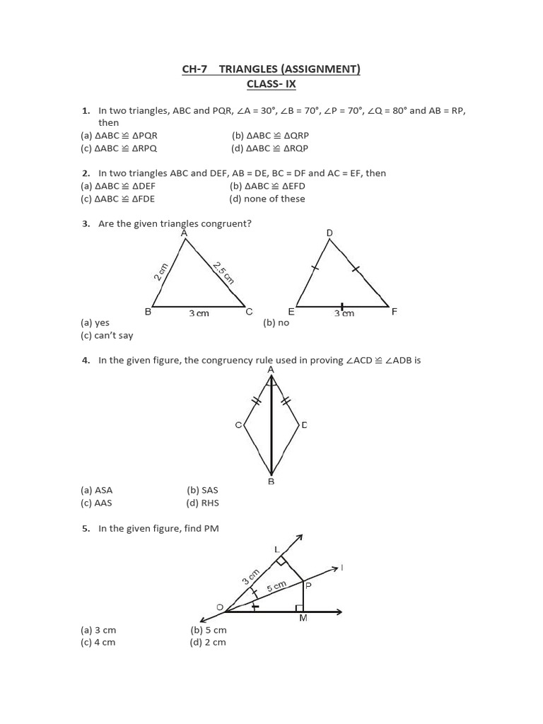 CH - 7 Triangles Assignment | PDF