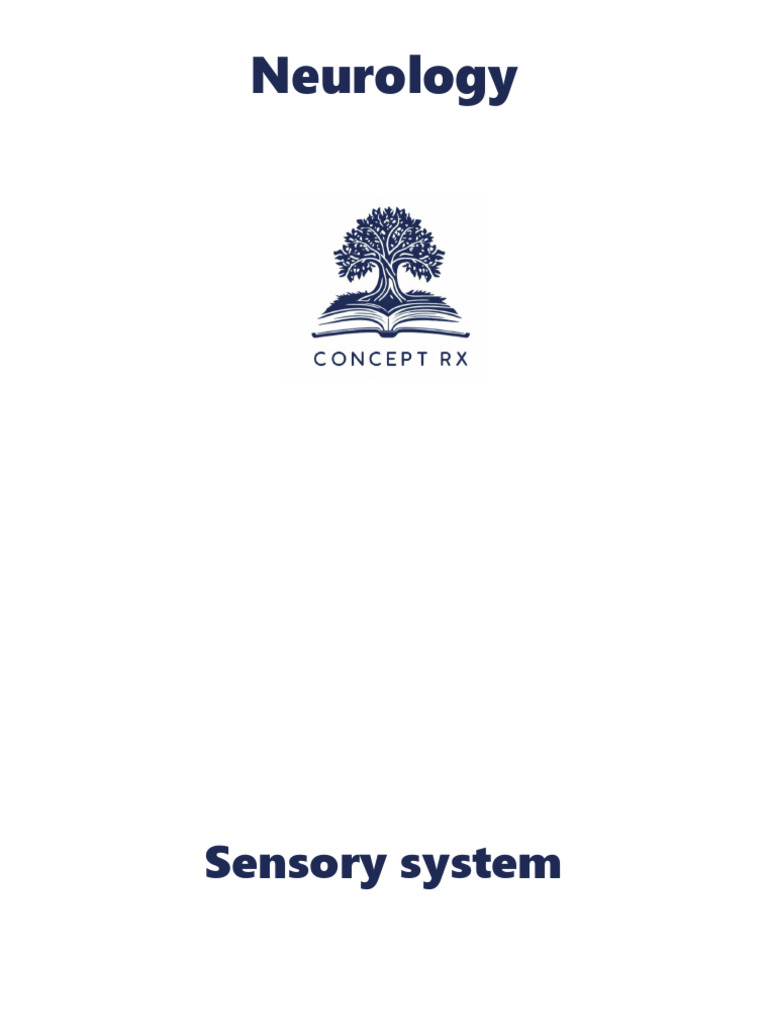 Sensory System | PDF