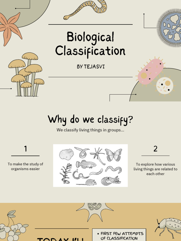 Biological Classification | PDF | Biology | Organisms