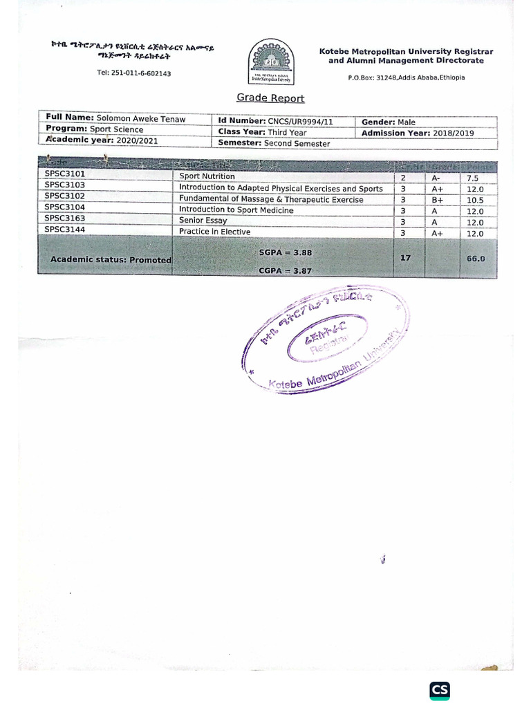 Grade Report | PDF