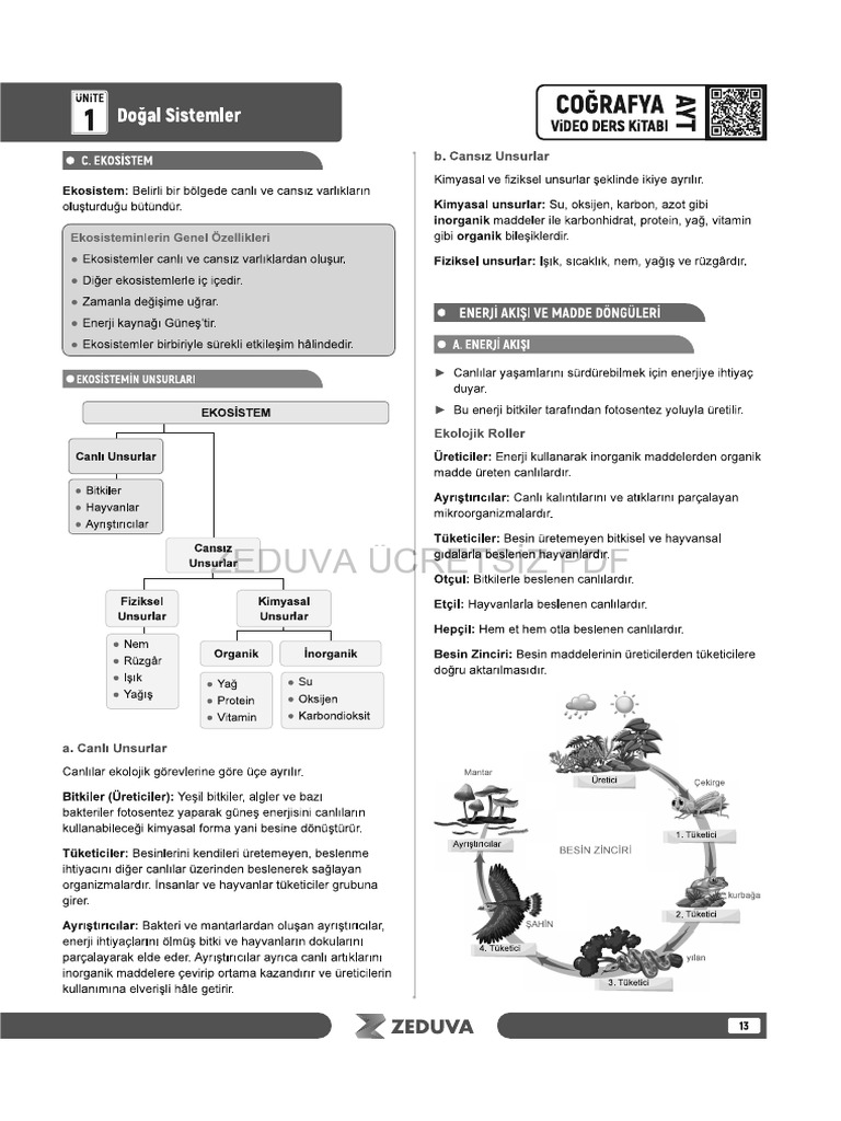 Ayt Cografya Ekosistem Ve Madde Donguleri Konu Anlatimi PDF | PDF