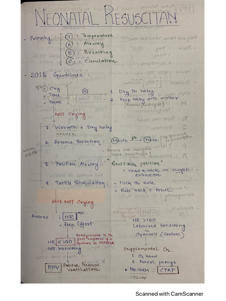Neonatal Resuscitation | PDF
