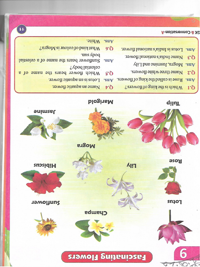 Flower | PDF