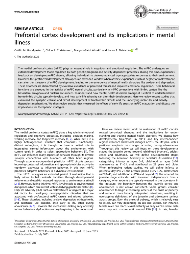 (Goodpaster Et Al., 2025) Prefrontal Cortex Development and Its ...
