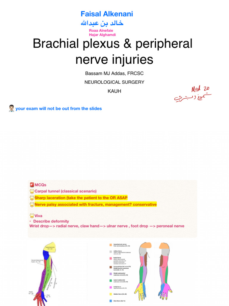 L2 Brachial Injury + NOTES | PDF | Carpal Tunnel Syndrome ...