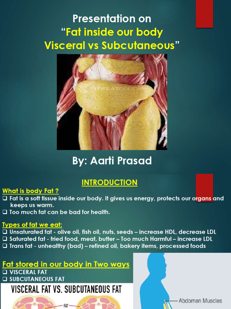 Fat Inside Our Body Visceral Vs Subcutaneous: Presentation On 