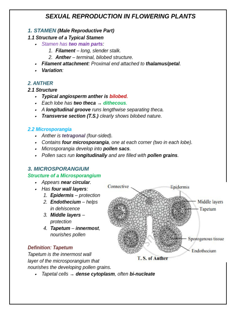 Sexual Reproduction in Flowering Plants | PDF | Pollen | Plants