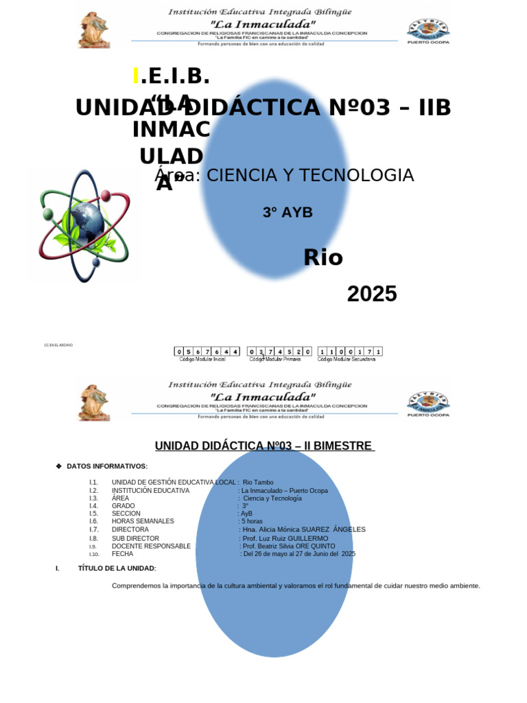 .E.I.B. "LA Inmac Ulad A": Unidad Didáctica Nº03 - Iib | PDF ...