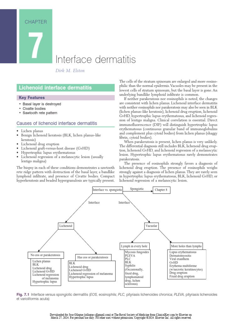 Chapter 7 - Interface Dermatitis | PDF | Epidermis | Medical Specialties