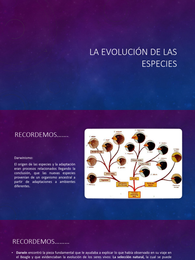 Evolución y Diversidad | PDF | Evolución | Seleccion natural
