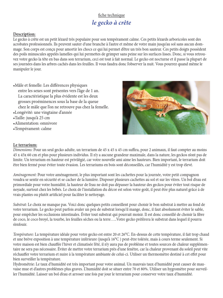 Fiche Gecko À Crête | PDF