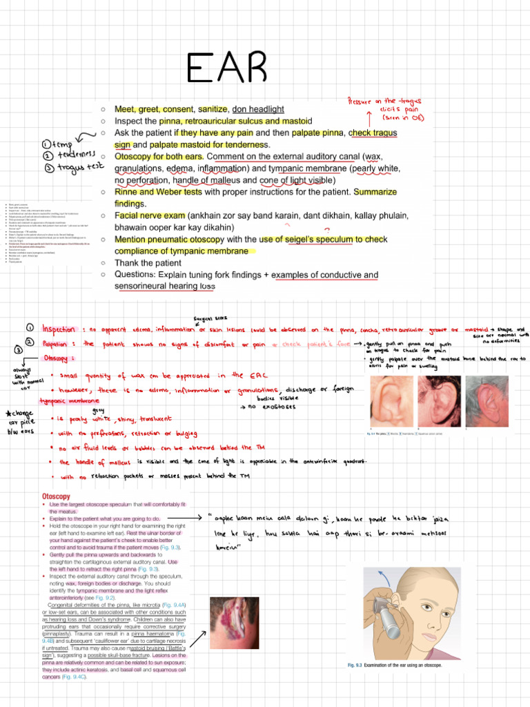 Ent Osce | PDF | Human Nose | Medical Specialties
