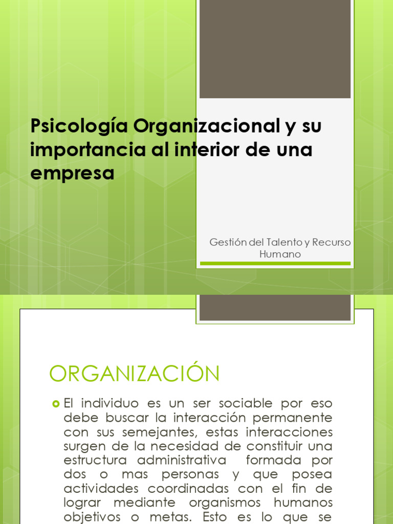 Psicología Organizacional | PDF | Sicología | Comportamiento