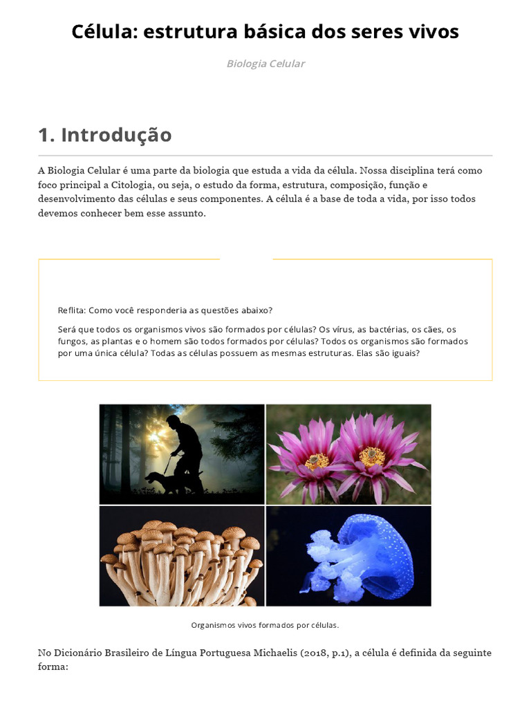 Célula - Estrutura Básica Dos Seres Vivos - Modulo 1 | PDF | RNA ...
