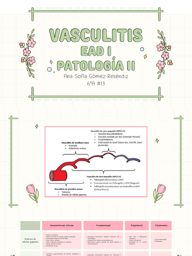 Vasculitis ASGR EAD 1 | PDF | Medicina | Especialidades Medicas