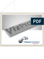 VizPro Summary Presentation