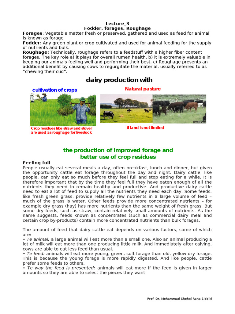 3. Lecture_3_Fodder & Forage | PDF