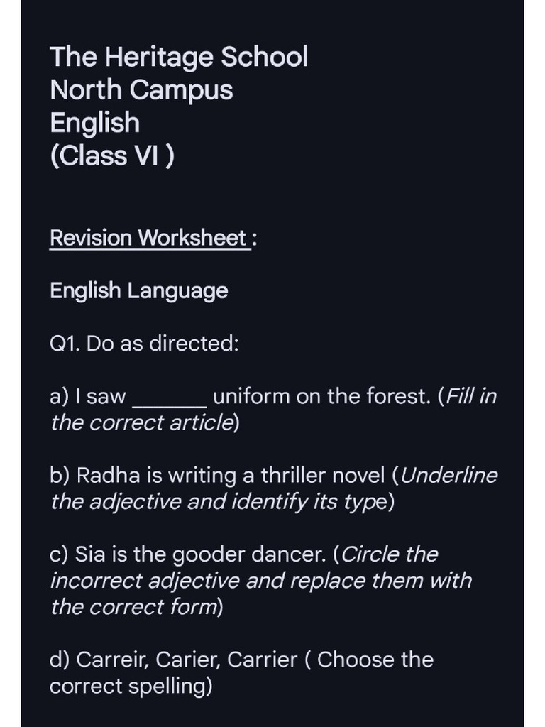 Class VI English Worksheet | PDF