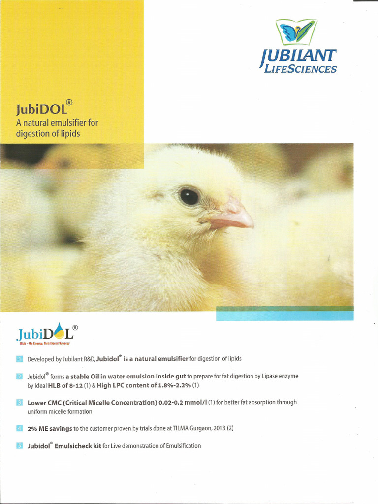 Jubidol Brochure | PDF