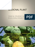 Madicnal Plant