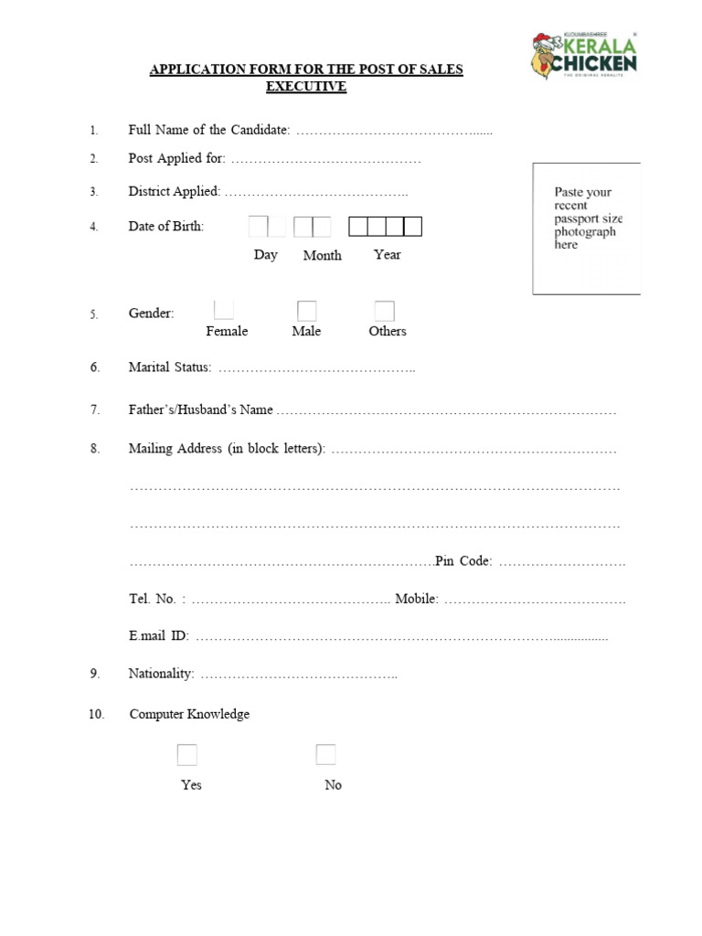 Sales Executive Application (1) | PDF