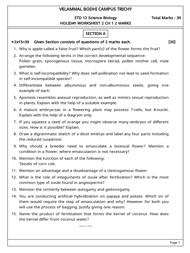 Holiday Worksheet 2 Chapter 1 Two Marks | PDF