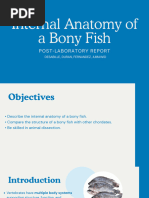 Fish Skeletal System Recognition Guide | PDF | Skeleton | Bone