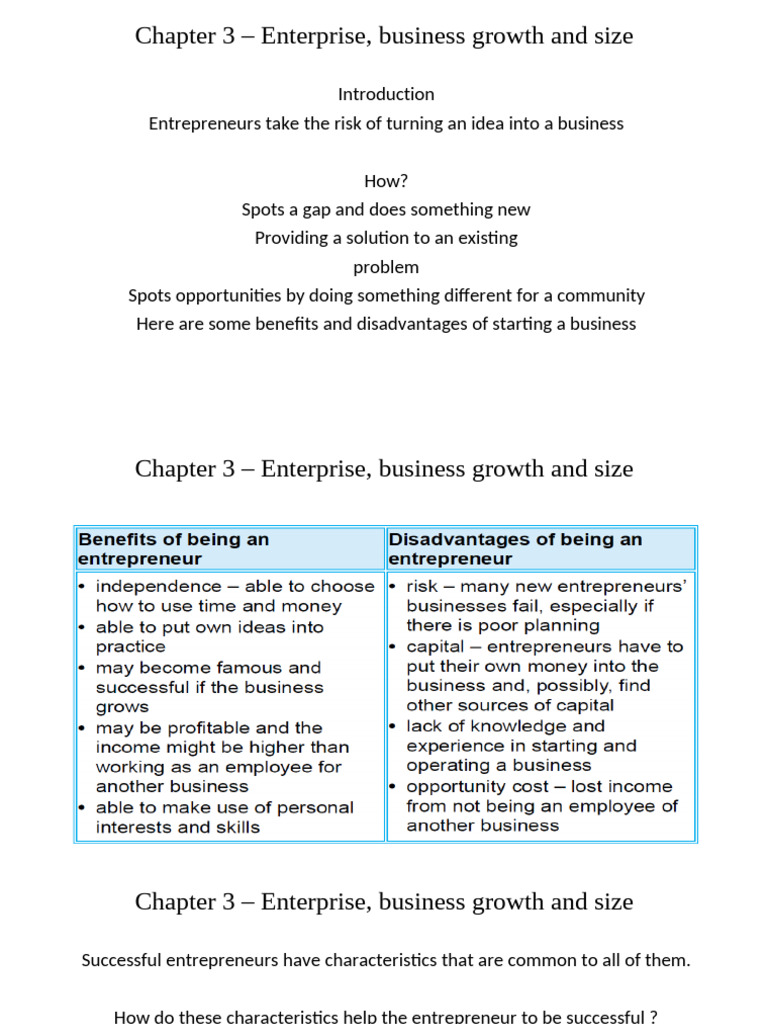 Chapter 3 – Enterprise, Business Growth and Size (1) | PDF ...