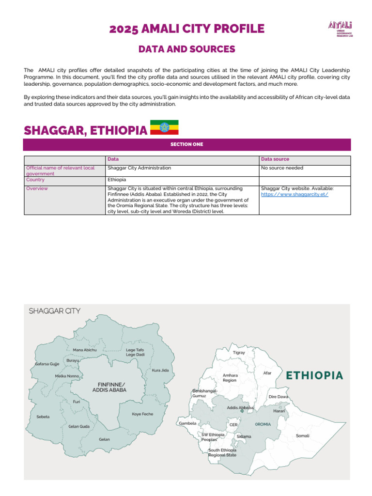 680b3e2a5b74ac806be24bc2 - Final 2025 City Profile - Shaggar | PDF ...