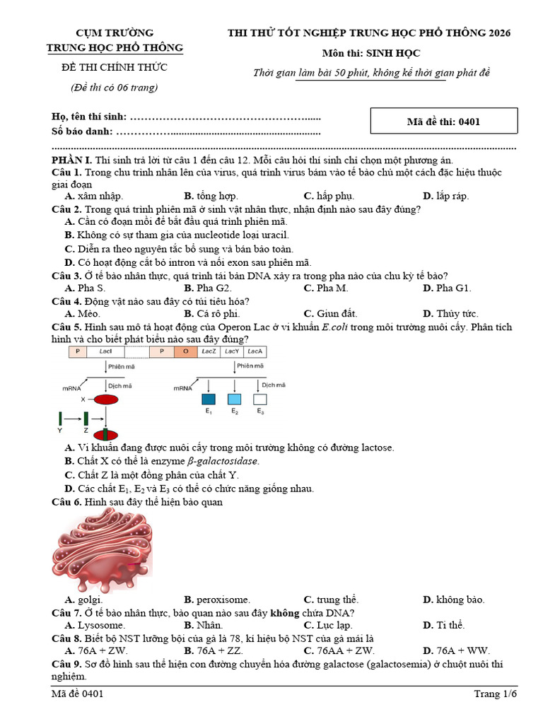 Ma de 0401 | PDF