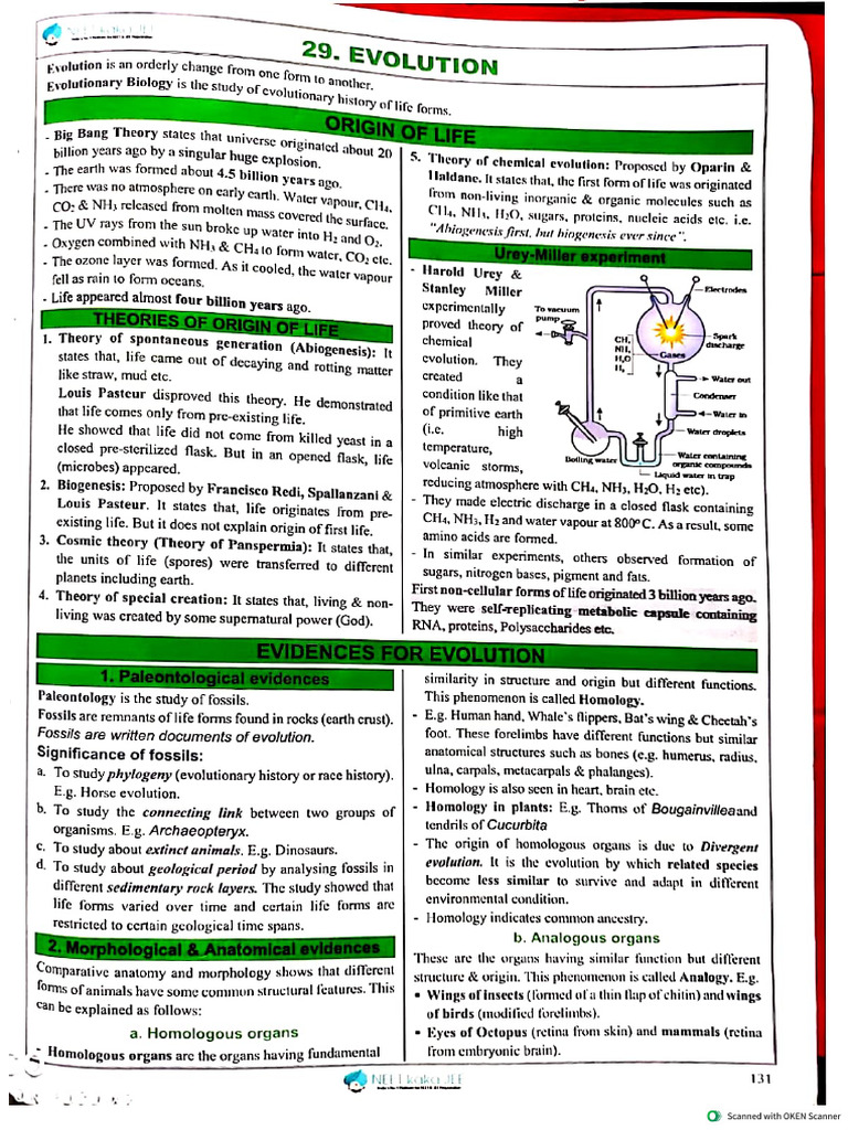 Class 12 | PDF