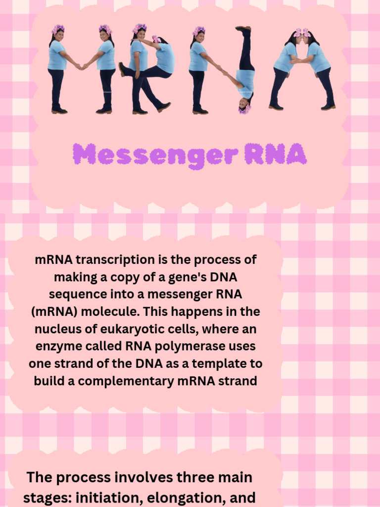 Messenger RNA - 20260107 - 181532 - 0000 | PDF | Rna | Dna