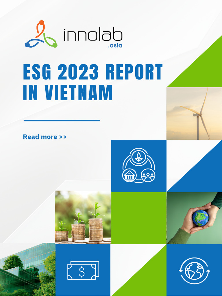 ESG 2023 Report in Vietnam | PDF | Sustainability | Governance