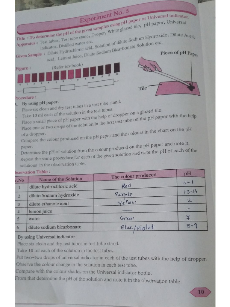 Science1 Practical Notes | PDF